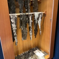 馳走 啐啄一十  - 