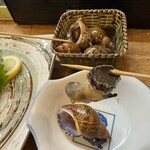 すし寛 - バイ貝