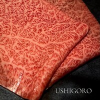 焼肉うしごろ 横浜店 - 