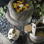 日本料理 TOBIUME - 蹲に菊