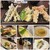 居酒屋 和ひろ - 料理写真: