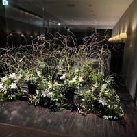 ゼックスウエスト ザ バー - 