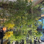 ザ パレス ラウンジ - 