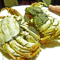 美林華飯店 - 上海蟹オス・メス
