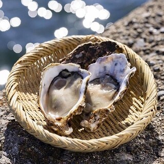 11月からご提供◎新鮮な広島県産の牡蠣を使用した逸品揃い