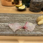 銀座 鮨 しょう介 - 