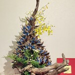 Coffee gallery Clement - 