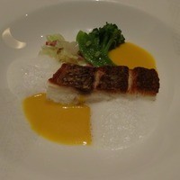 オールデイダイニング ハーモニー - 