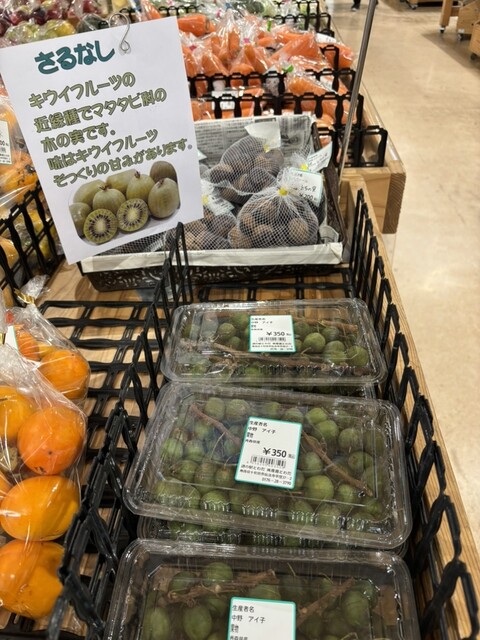 道の駅 とわだ - 十和田市（道の駅）の写真