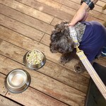 QUAYS pacific grill - 