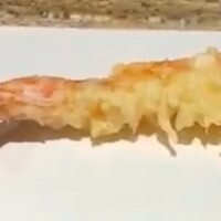 日本橋 蕎ノ字 - 