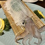 八千代丸 博多駅前店 - 