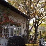 くるみの木 - お庭です