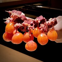 鳥匠いし井ひな - ちょうちんお披露目