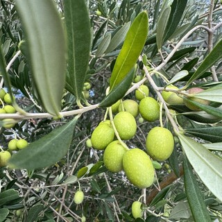 漁港の駅 トトコ小田原_0