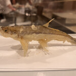 てんぷら 天翔 - 