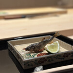 蛸薬師 ふるかわ - 