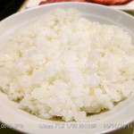 ランチ限定20食カルビのごはん 2014.11.19