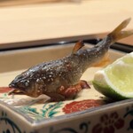 蛸薬師 ふるかわ - 