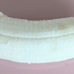 こだわりや - なんて事だっ　愛くるしい♥白さとフォルムと良い匂い♫