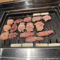 とり料理 鳥者 - 信玄もも、信玄せせり、信玄むね、信玄ハツ、信玄ウデ