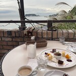 アマルフィイ デラセーラ - 