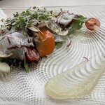 アマルフィイ デラセーラ - 