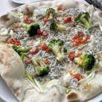 アマルフィイ デラセーラ - 