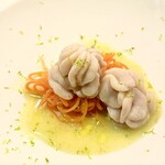 SHIGEBA - 