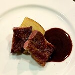 SHIGEBA - 