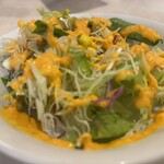 ビンディカ - 