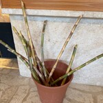 宮古きび茶屋 - 