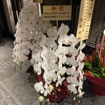 中華そば ますたに - 