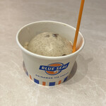 ブルーシール - 