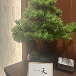 天冨良 ふぐ 銀座 天 - 