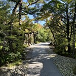 KURO KYOTO - 