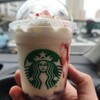 スターバックスコーヒー 堺フェニックス通り 利晶の杜店