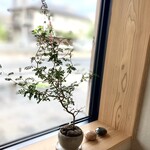 あんこどき - 店内。