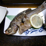 佐々木旅館 - 
