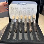 DRAWING HOUSE OF HIBIYA - 