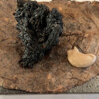 イル ギオットーネ 京都本店 - 