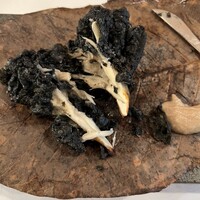 イル ギオットーネ 京都本店 - 