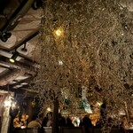 ベンフィディック - 