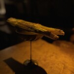 ベンフィディック - 