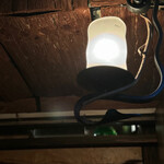 ベンフィディック - 