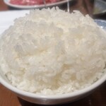王道焼肉 豆だいふく - ご飯大  ロース頂いてたら、白ご飯欲しくなっちゃって（笑）