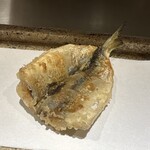 日本橋 蕎ノ字 - 本日の地魚　天草こはだ