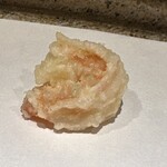 日本橋 蕎ノ字 - 背開き