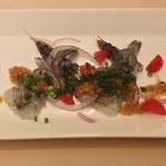 カヴァティーネ - 