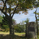 プティアノン - 